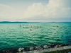 dscf0091