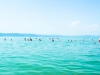 dscf1528_resize