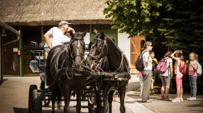 Utolsó levél haza